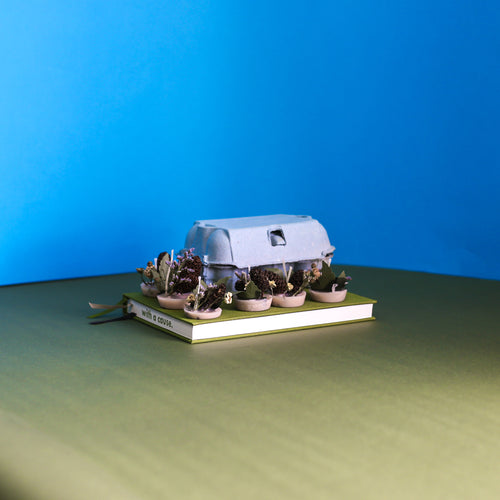 Box of 6 Firelighters