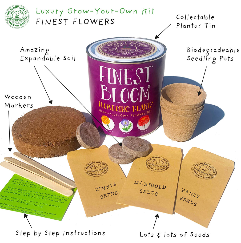 Herbal Tea Botanical Kit