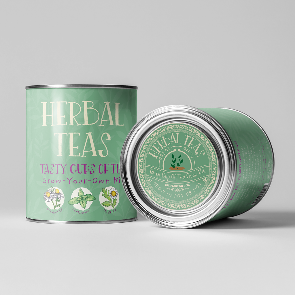 Herbal Tea Botanical Kit
